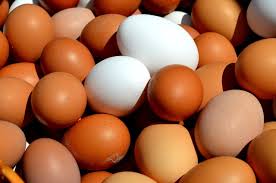 Egg fra gården